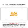 6 X 12 Full Size Aluminum License Plate for Cars and Trucks  Thumbnail